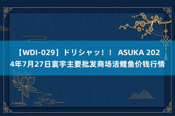 【WDI-029】ドリシャッ!! ASUKA 2024年7月27日寰宇主要批发商场活鲤鱼价钱行情