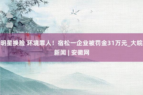 明星换脸 环境罪人！宿松一企业被罚金31万元_大皖新闻 | 安徽网