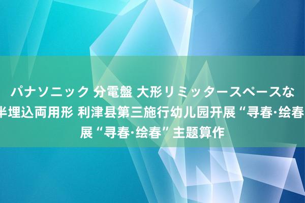 パナソニック 分電盤 大形リミッタースペースなし 露出・半埋込両用形 利津县第三施行幼儿园开展“寻春·绘春”主题算作