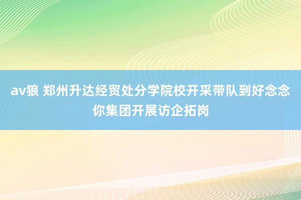 av狼 郑州升达经贸处分学院校开采带队到好念念你集团开展访企拓岗