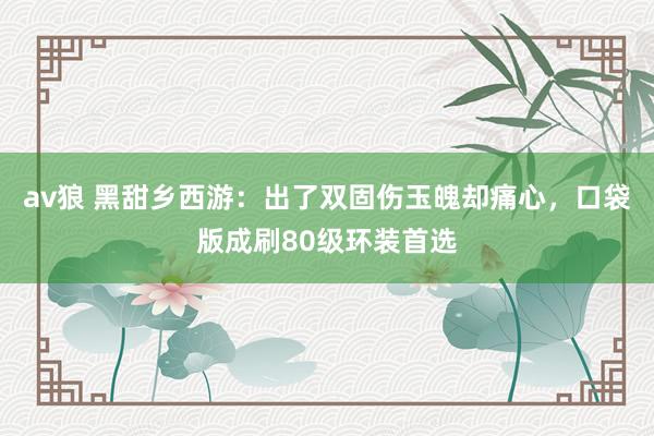 av狼 黑甜乡西游：出了双固伤玉魄却痛心，口袋版成刷80级环装首选