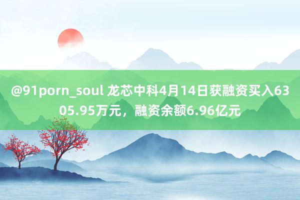 @91porn_soul 龙芯中科4月14日获融资买入6305.95万元，融资余额6.96亿元
