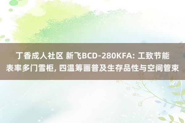 丁香成人社区 新飞BCD-280KFA: 工致节能表率多门雪柜， 四温筹画普及生存品性与空间管束