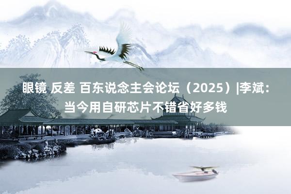 眼镜 反差 百东说念主会论坛（2025）|李斌：当今用自研芯片不错省好多钱